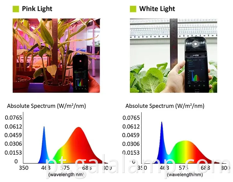 Cultive mudas, suplemento luz para crescimento, luz de planta T5 de espectro completo